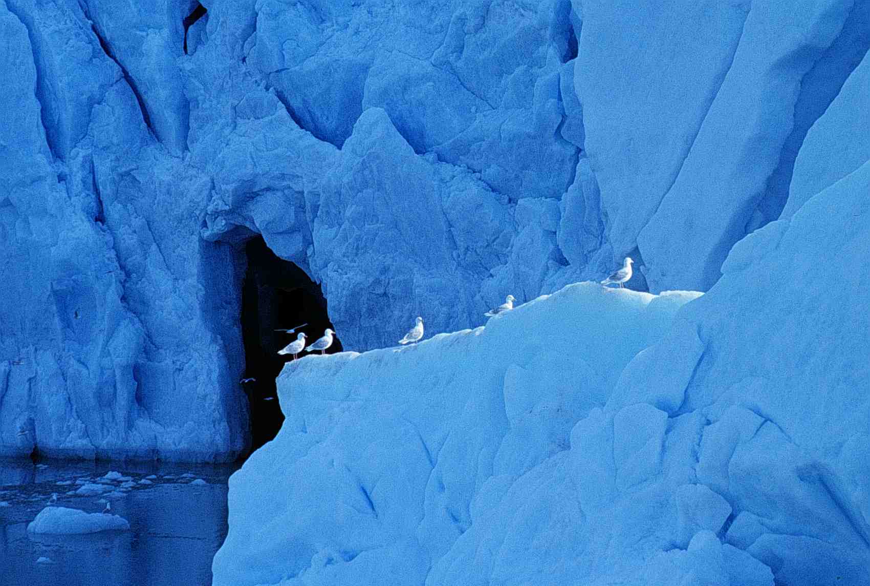 Monacobreen