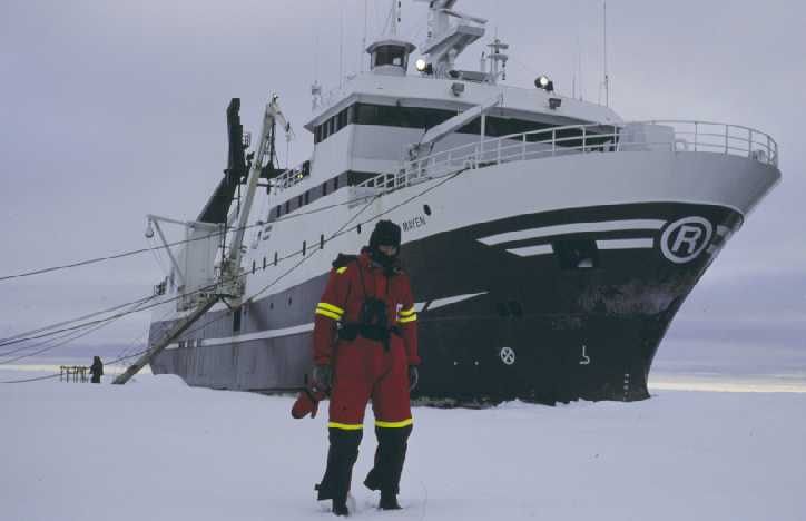 Jan Mayen an der Eisscholle