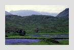 Glen_Affric