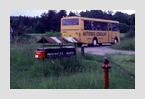 Schulbus