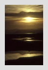 sumpf_knysna