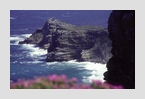 cape_point