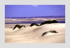 duenen_mosselbay