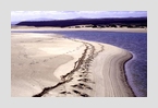 spuren_im_sand