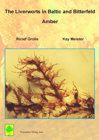 Liverworts in Amber